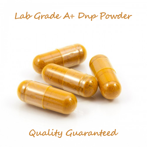 DNP Dinitrophenol 200mg 50cps DNP Dinitrophenol 200mg 50cps